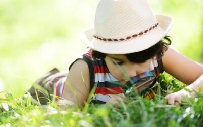 Co warto zobaczyć w Bieszczadach z dziećmi podczas rodzinnego wyjazdu?