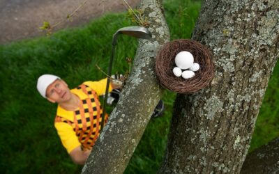 Czym jest szlak orlich gniazd i dlaczego przyciąga miłośników historii?