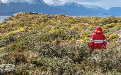 Etna czy warto wybrać się na wulkan podczas wyjazdu na Sycylię?