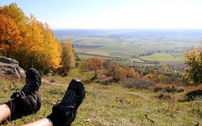 Gdzie leży Pieniński Park Narodowy na mapie Polski?