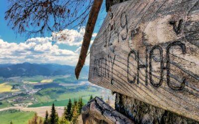 Gdzie spać w Bieszczadach jeśli szukasz ciszy i bliskości natury?