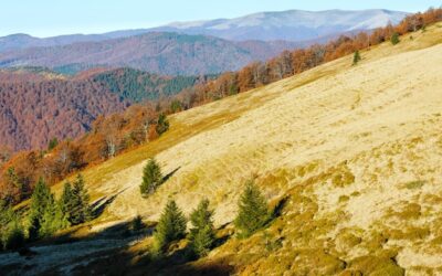 Jakie góry są w Bieszczadach i czym się wyróżniają?