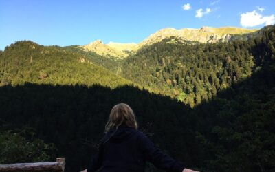 Jakie góry są w Krynicy-Zdroju i czym przyciągają miłośników wędrówek?