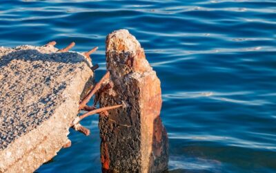 Krynica Morska co ciekawego można odkryć podczas spaceru?