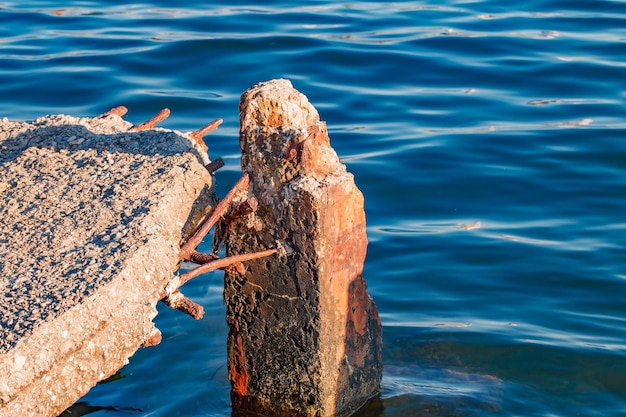 Krynica Morska co ciekawego można odkryć podczas spaceru?