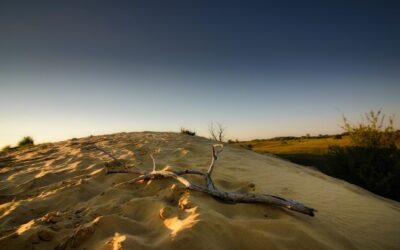 Łeba wydmy ile kilometrów trzeba pokonać, aby dotrzeć na ruchome piaski?