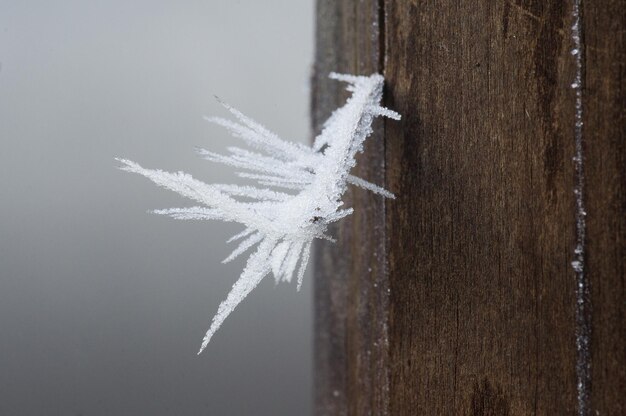 Śnieżka ile się idzie na szczyt i co warto wiedzieć przed wyjściem?