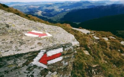 Żywiec jakie góry można zobaczyć w okolicy?