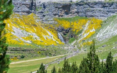 Co znaczą kolory szlaków górskich w Tatrach?