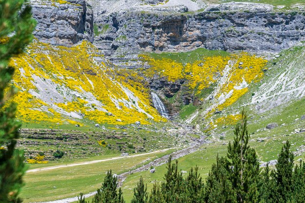 Co znaczą kolory szlaków górskich w Tatrach?
