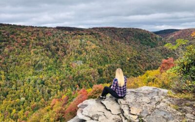 Gdzie się zatrzymać w Bieszczadach poza utartym szlakiem?