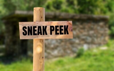 Jak wejść na Bukowe Berdo i nie przegapić najpiękniejszych widoków?