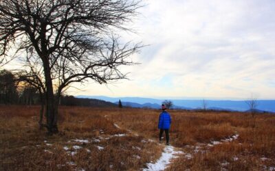 Szlak Orlich Gniazd gdzie jest i jak do niego dotrzeć?