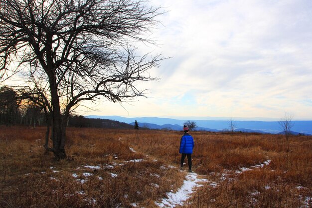Szlak Orlich Gniazd gdzie jest i jak do niego dotrzeć?