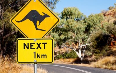 Ile jest kilometrów z Warszawy do Sydney i co wpływa na trasę podróży?