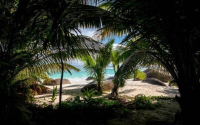 Tropiki gdzie warto wybrać się na egzotyczny wypoczynek?