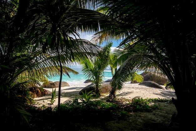 Tropiki gdzie warto wybrać się na egzotyczny wypoczynek?