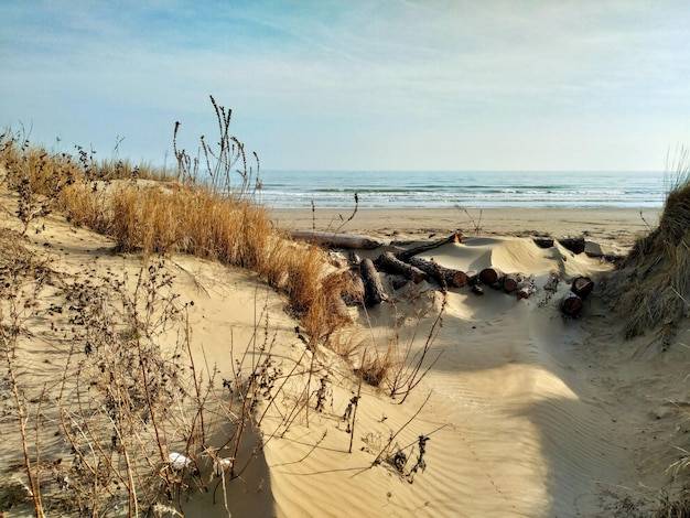 Ustronie Morskie co zwiedzić podczas wakacyjnego pobytu?